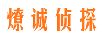 东风市侦探